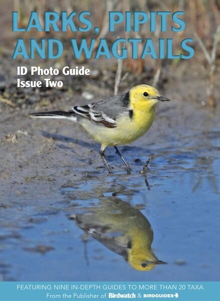 Bird ID Photo Guides – 07 November 2022 Cover