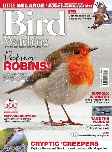 Bird Watching UK – December 2022 Cover