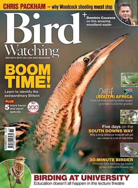 Bird Watching UK – November 2022 Cover