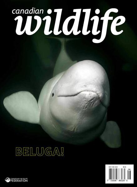 Canadian Wildlife – November 2022 Cover