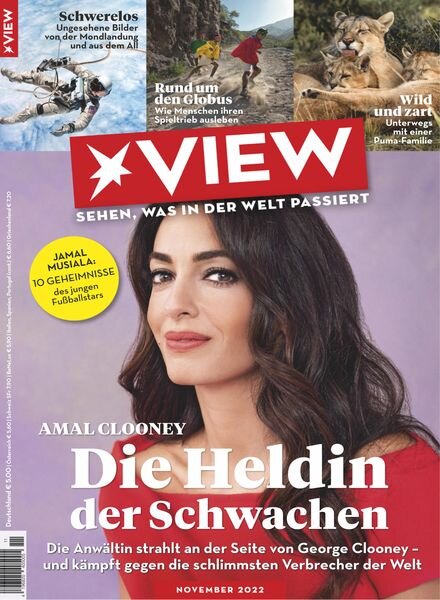 Der Stern View Germany – November 2022 Cover