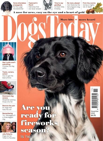 Dogs Today UK – November 2022 Cover