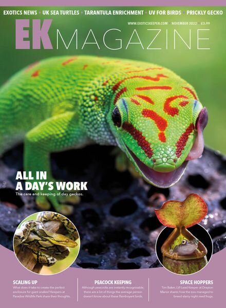 Exotics Keeper – November 2022 Cover