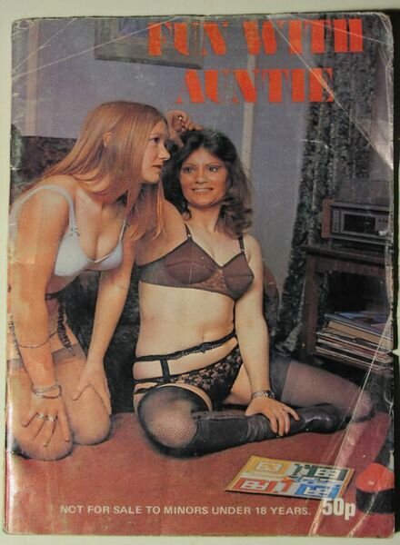 Fun With Auntie Cover