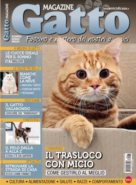 Gatto Magazine – Dicembre 2022 – Gennaio 2023 Cover