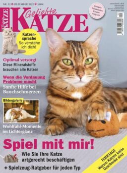 Geliebte Katze – Dezember 2022
