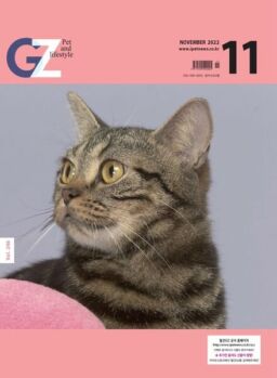 GZ – 2022-11-01