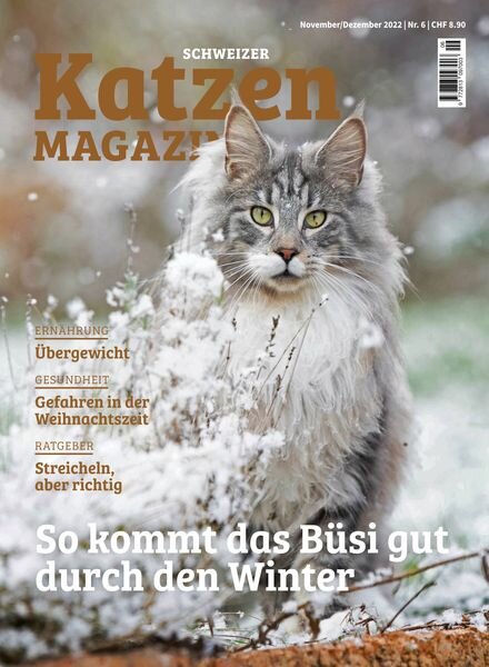 Katzen Magazin – November 2022 Cover