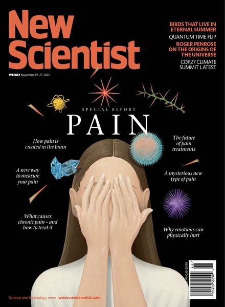 New Scientist – November 19 2022 Cover