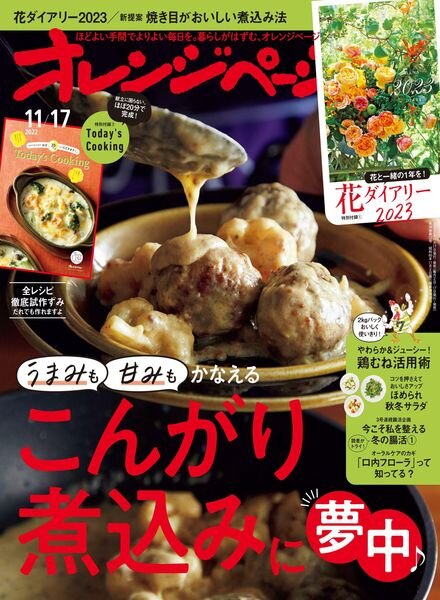 Orange Page – 2022-11-01 Cover
