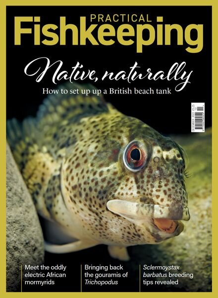 Practical Fishkeeping – December 2022 Cover