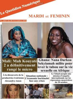 Quotidien Numerique d’Afrique – 08 novembre 2022