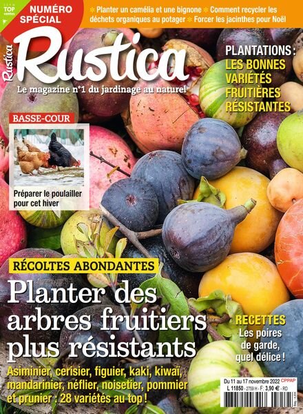 Rustica – 11 Novembre 2022 Cover
