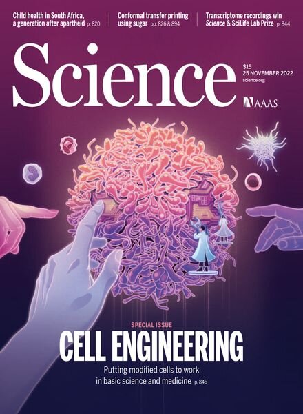 Science – 25 November 2022 Cover