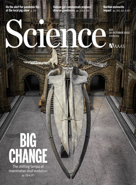 Science – 28 October 2022 Cover