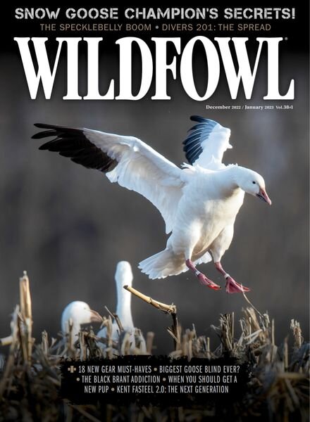 Wildfowl – December 2022 Cover
