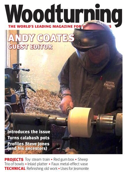 Woodturning – Issue 376 – November 2022 Cover