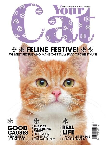 Your Cat – December 2022 Cover