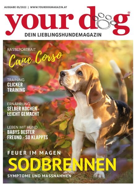 Your Dog Germany – November 2022 Cover