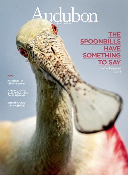 Audubon Magazine – December 2022 Cover