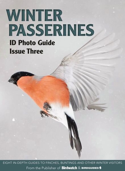 Bird ID Photo Guides – December 2022 Cover