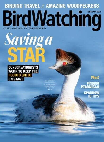 BirdWatching USA – January-February 2023 Cover