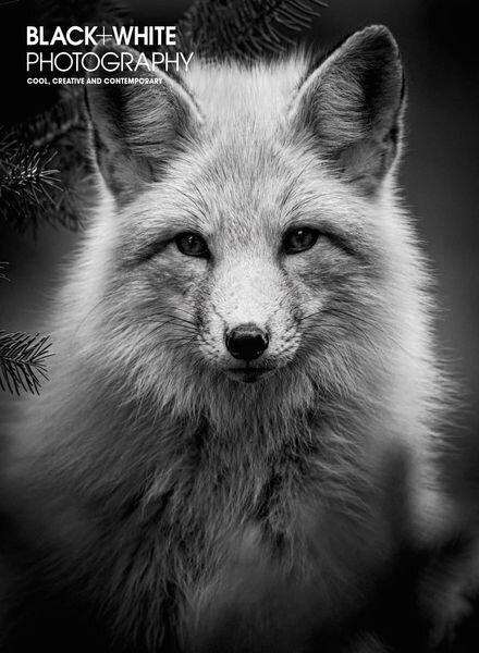 Black + White Photography – Issue 273 – December 2022 Cover
