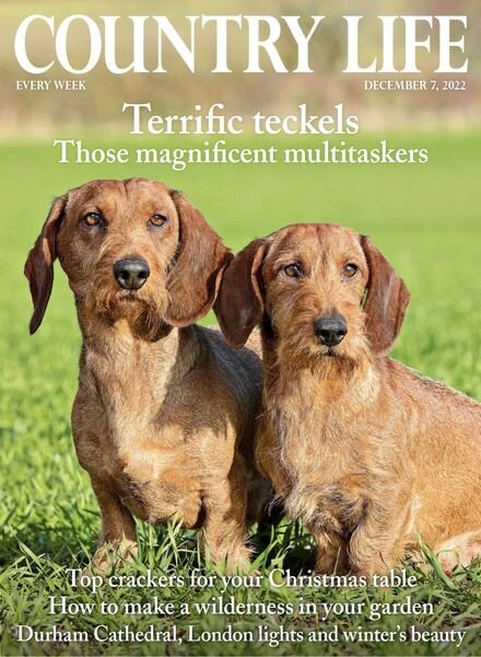 Country Life UK – December 07 2022 Cover