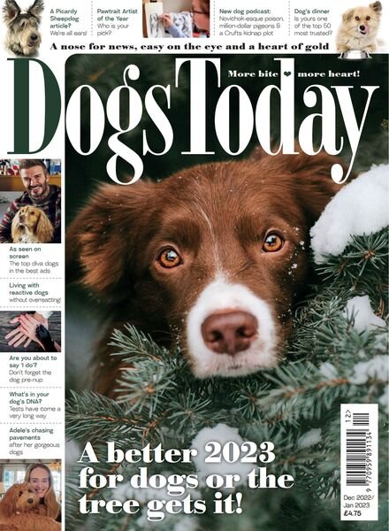 Dogs Today UK – December 2022 Cover