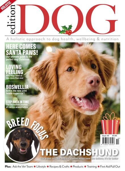 Edition Dog – Issue 50 – November 2022 Cover
