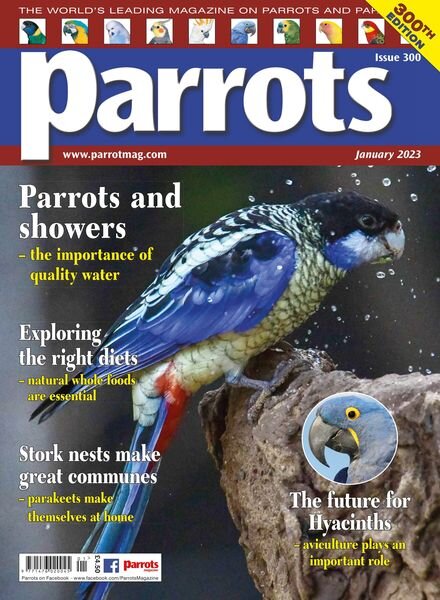 Parrots – January 2023 Cover
