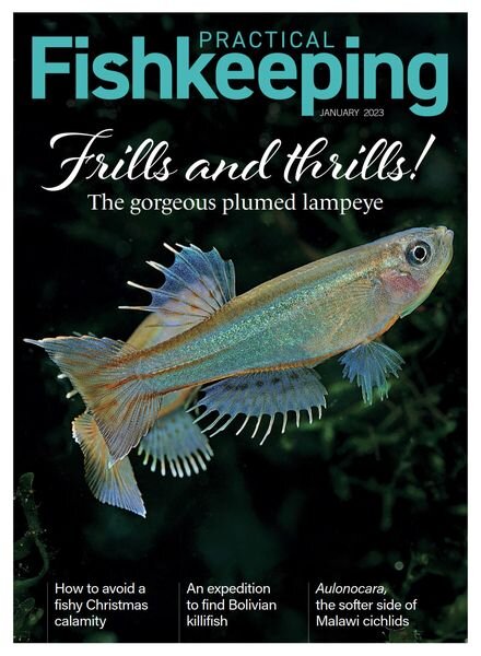 Practical Fishkeeping – January 2023 Cover