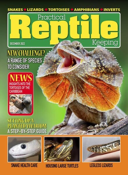 Practical Reptile Keeping – December 2022 Cover