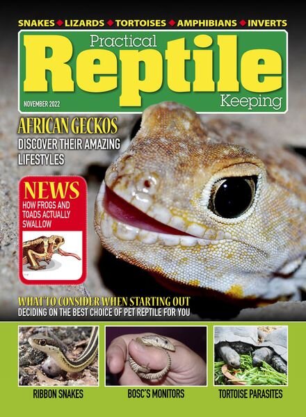 Practical Reptile Keeping – November 2022 Cover