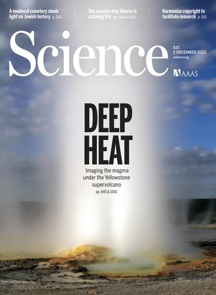 Science – 2 December 2022 Cover
