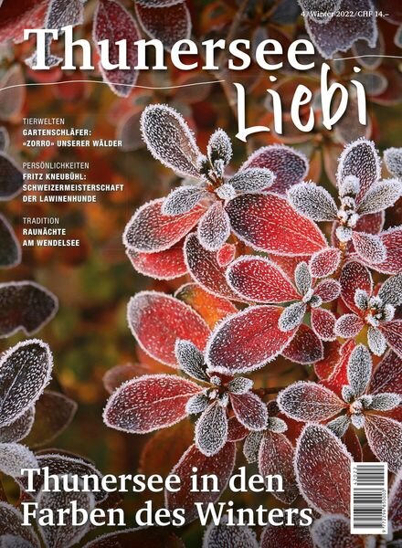 ThunerseeLiebi – Dezember 2022 Cover