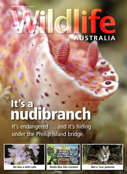 Wildlife Australia – Summer 2022 Cover