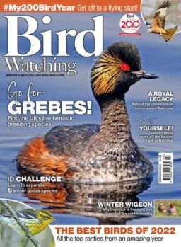 Bird Watching UK – February 2023