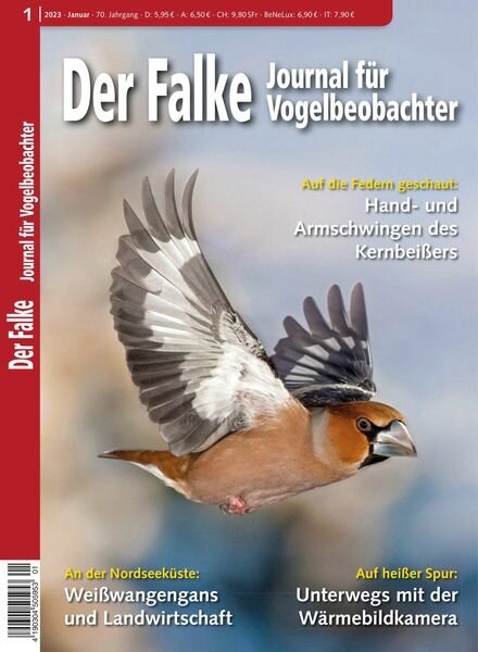 Der Falke Journal fur Vogelbeobachter – Januar 2023 Cover