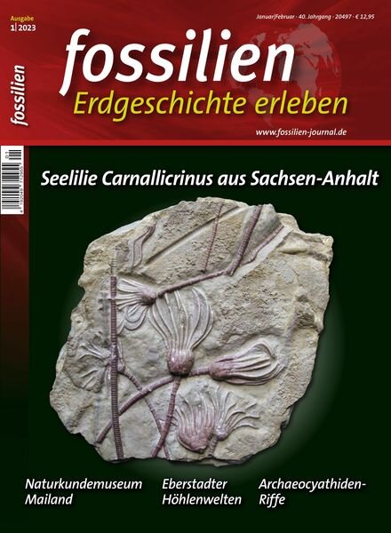FOSSILIEN – Erdgeschichte erleben – Januar 2023 Cover