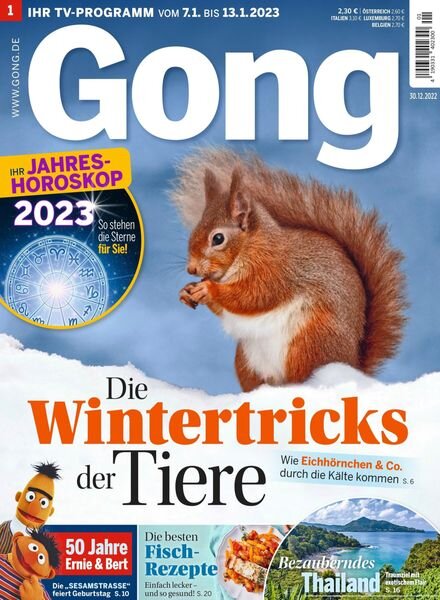 Gong – 30 Dezember 2022 Cover
