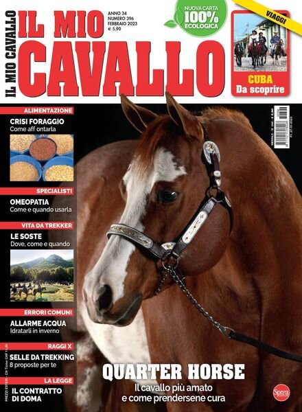 Il Mio Cavallo – febbraio 2023 Cover