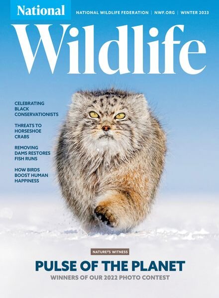National Wildlife – Winter 2023 Cover
