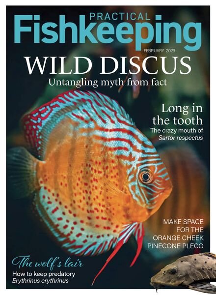 Practical Fishkeeping – February 2023 Cover