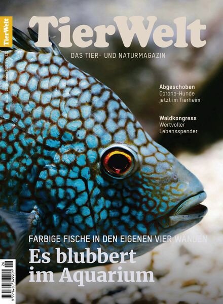 TierWelt – 31 Dezember 2022 Cover