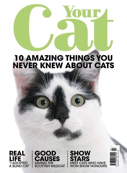 Your Cat – February 2023 Cover