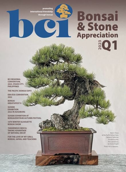 BCI Bonsai & Stone Appreciation Magazine – February 2023 Cover