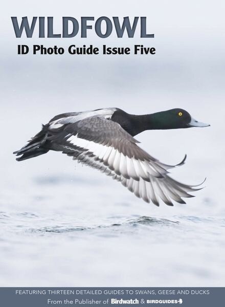 Bird ID Photo Guides – February 2023 Cover