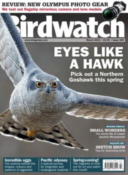 Birdwatch UK – March 2023