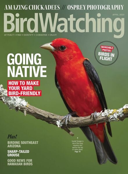 BirdWatching USA – March-April 2023 Cover